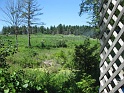 Galt7-3-2010 03621